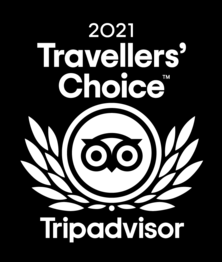 Travellers' Choice 2020 Logo